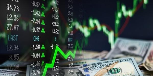 Understanding the Basics of Stablecoins